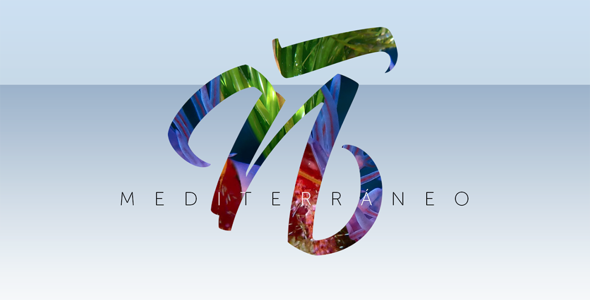 Screenshot 2021-12-13 at 12.44.10