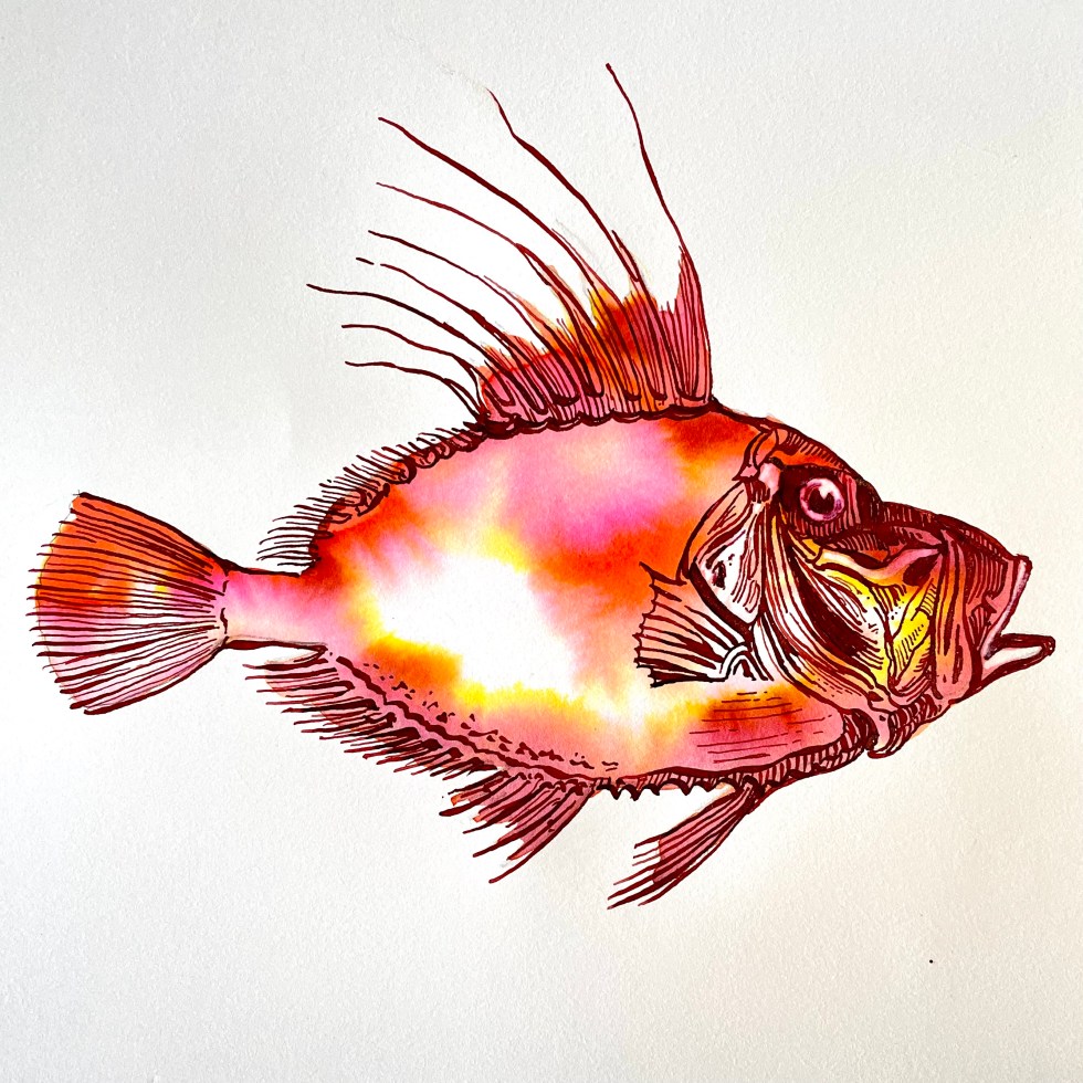 81D047CF-5564-4668-9959-A2E731D9580A